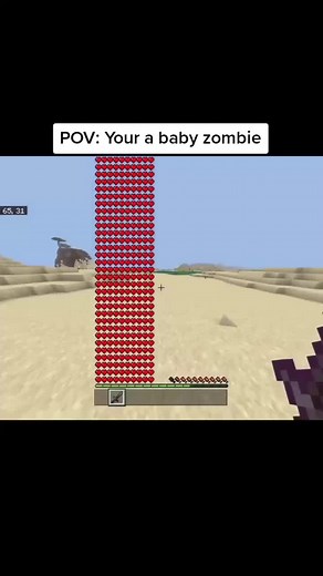 #minecraft #zombie