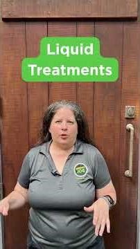 Liquid vs Bait: Termite Treatment Explained