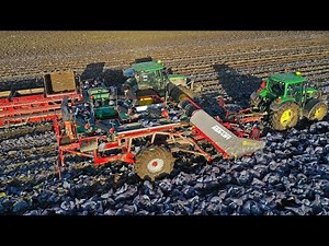 Vegetable Feast | Unique Asa-Lift harvester | Harvesting red cabbage