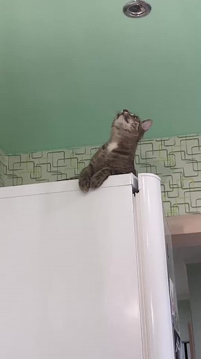 Дмитрий Бурлачук on TikTok