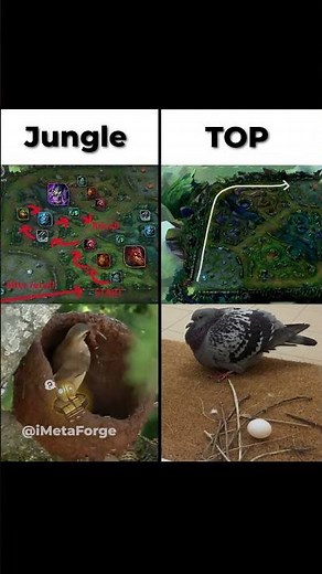 Same game Different responsibilities 🗿