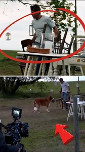 2.1K views · 11 reactions | A Dog’s Purpose (2017) #behindthescenes | Behind The Scene | Facebook