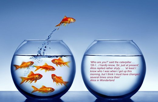 Transition Theory - Nursing the Future