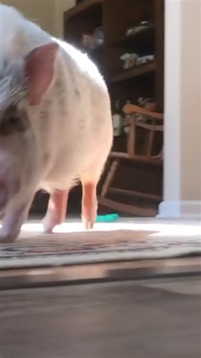 Love The Walking Dead, So I Ran at Her and Let Her See What a Real Zombie Attack Looks Like 🤪