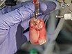 Video: Rodent Working Heart Model for the Study of Myocardial Performance and Oxygen Consumption