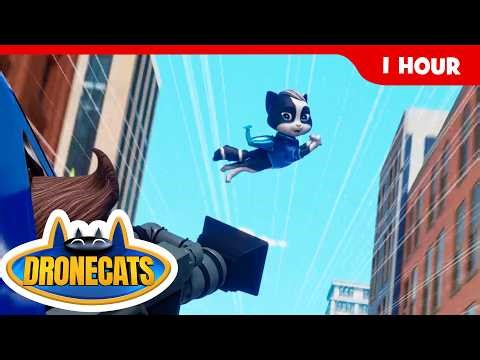 🐱🚁 Ultimate Drone Cats Rescue Hour! | 60 Minutes of Fun, Action & Cat Heroes