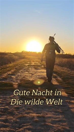 Gute Nacht in die wilde Welt! 💚✨ #natur #leben #sunset #life