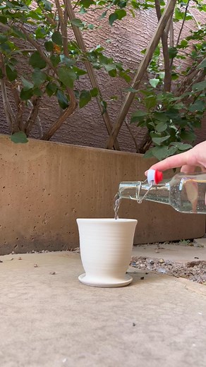 46K views · 951 reactions | Let me know if there’s any other questions I did not address! Full transparency, I am not affiliated with BLICK or SKUTT products, although I am open to working with them in the future.  #pottery #ceramics #handmade #diyproject #potterywheel #homepotterystudio #homestudio #handmade #diy #oddlysatisfying ##deepclean##kiln##kilnunload##crafty##hobby##fyp##wheelthrowing##wheel##clay | Naturallygrace | Facebook