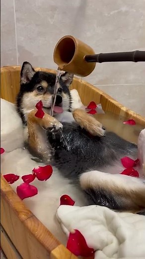 Goddess Bubble Bath SPA | Manyu's Cozy Cleaning | ASMR