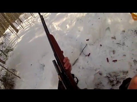 Shooting the JC Higgins Model 29 (.22LR)