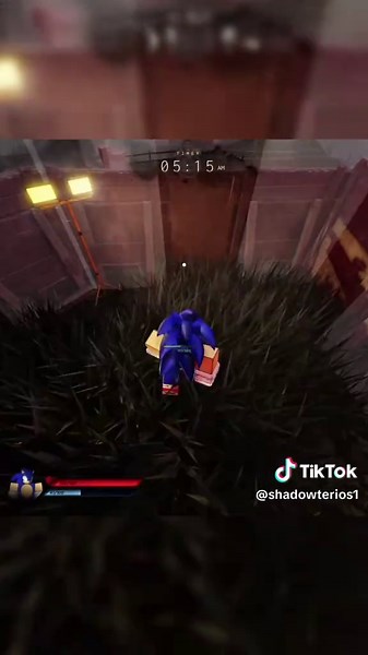 Sonic vs. Hoax LMS: A Joyful, Emotional Journey