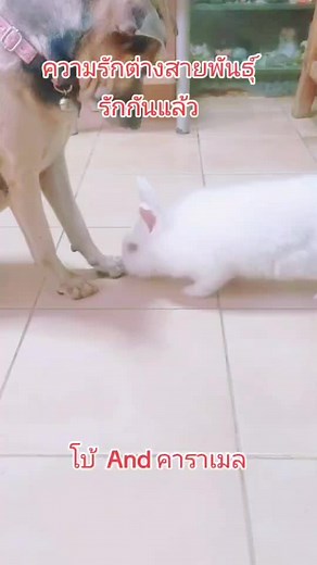 วิดีโอของ Memory.com (@memory1819) พร้อมเพลง เสียงต้นฉบับ - Memory.com