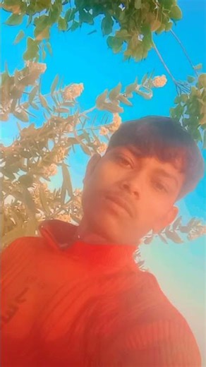 rifle wali Dahej mein Bhojpuri gana naya trending