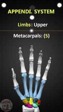 Upper Limb Bones Anatomy |Carpals & Metacarpals Bones |MBBS |BAMS |NEET #biology #osteology #anatomy
