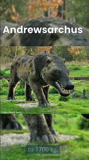 Andrewsarchus