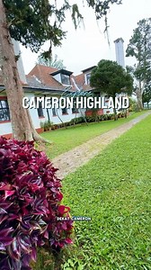 Explore Cameron Highland day 1. #traveljimat #exploremalaysia #tourismalaysia #cameronhighland #tripbudget | CEO Travel
