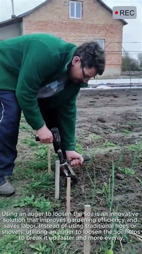 Using Drill to Loosen Soil Fast Efficient Gardening #viral #tools #skills #drill