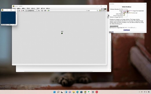 Labview调用外部窗口显示图像