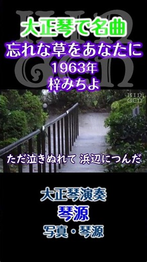 【大正琴】忘れな草をあなたに(歌詞あり) 梓みちよ 演奏：琴源 #大正琴 #shortsvideo #shorts #short
