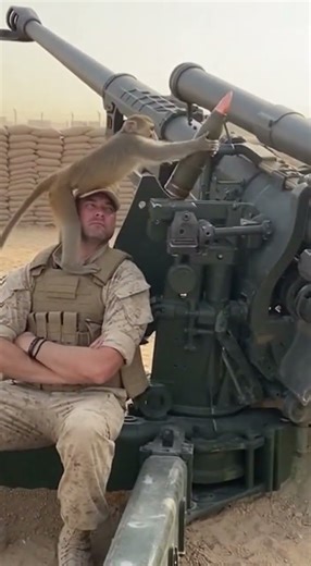 Tiny Monkey, Big Commotion — Dummy Rocket Fires Mid Drill