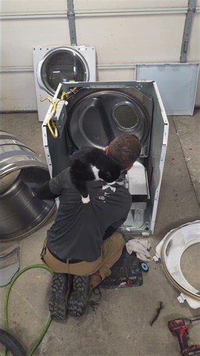 Appliance Cat Helper!