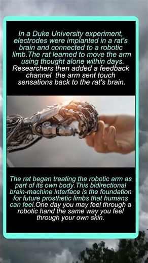 Mind-Controlled Robot Arms Are Already Here!