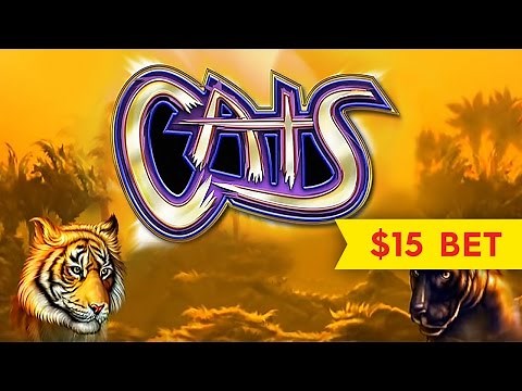 Cats Slot Machine - $15 Max Bet Bonus with BIG WIN Line Hit!