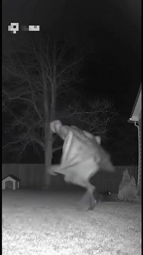 Fearless Dog ATTACKS Demon and Chases It Away!