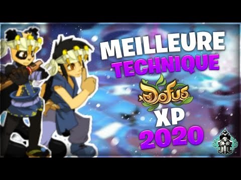 [DOFUS] LA MEILLEURE TECHNIQUE XP DE DOFUS 2020