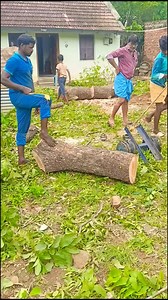 Sabariraja tree cutter pattukkottai 8072635013 service | Sabariraja M