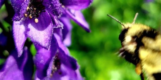 More rain than normal