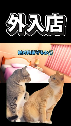 【猫ミーム】外入店