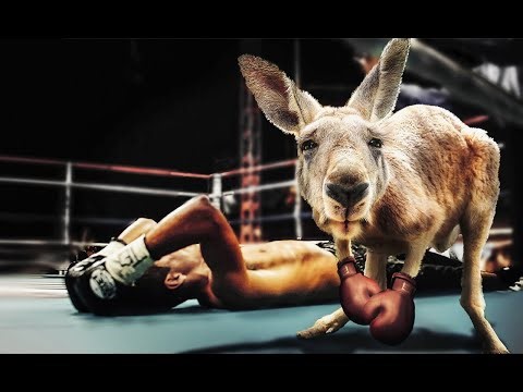 Boomblast assault mix (Break beat mix)12.01.2026