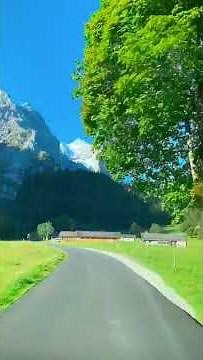 nature 4k ultra hd l nature sounds। travel video tv screen nature l। peaceful nature4k nature video
