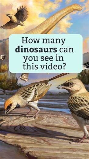 7.8K views · 133 reactions | 練 New discovery! A ‘one of a kind’...