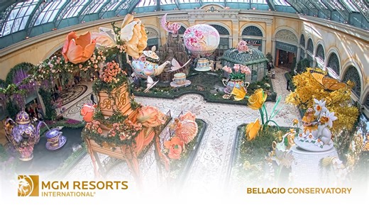 Happy Spring! 🌻 Check out our time-lapse of the Bellagio Las Vegas conservatory transforming for the season. This year's display is "Tea and Tulips." 🌷 | EarthCam