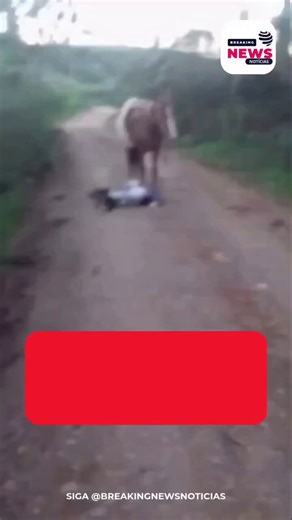 2 protectors, front run32214zEURBBuuv1dy6TNSagAqtkss4rziLZAtXLXpump