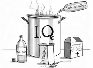 How do "genes" work? So-called experts have a hard time agreeing