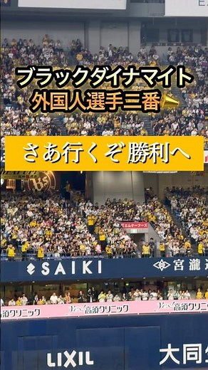 【阪神タイガース】外国人汎用応援歌｜ブラックダイナマイト現地メドレー🐯🔥 #阪神タイガース #阪神 #外国人 #京セラドーム #応援歌 #阪神ファン #プロ野球 #野球 #推し活 #shorts