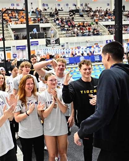 LSU Swimming & Diving | Oh, What a Night 🌙😆 | Instagram