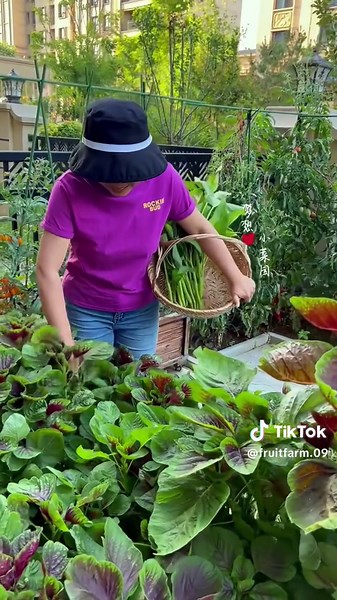 Charming Small Vegetable Garden Next to the House