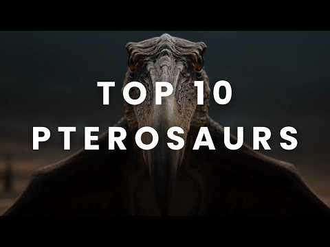Top 10 Most Amazing Pterosaurs of All Time! #1 blow your mind Giant Flying Reptiles (4K)