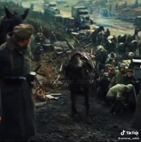 Powerful War Horse Movie Scene Edit