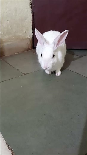 hello Google guys swagat Hai hamare naye block mein #sunsunbarsaatkidhun #songbarsaat #fakeads #si