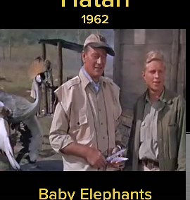 Hatari (1962) Baby Elephants. #JohnWayne #ElsaMartinelli #RedButtons #Hatari #Elephants #Fyp #Viral