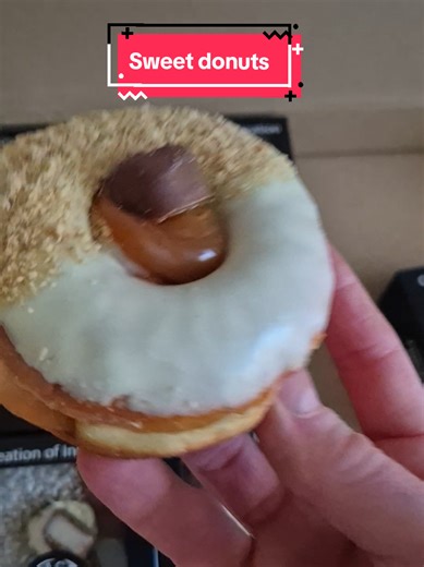 Delicious Sweet Donut Bundle Review