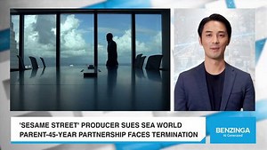 Sesame Street vs Sea World