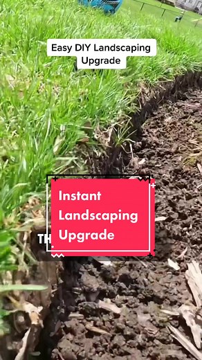 Natural Lawn Edge: Removing Plastic Edging