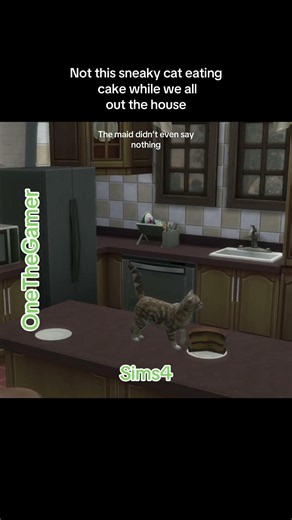 Sim4 sneaky cat