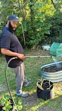 How Often Do You Feed Your Plants